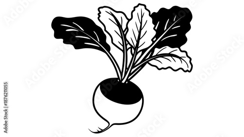 A black and white illustration of a beetroot with leaves, a root vegetable, viewed from the side.