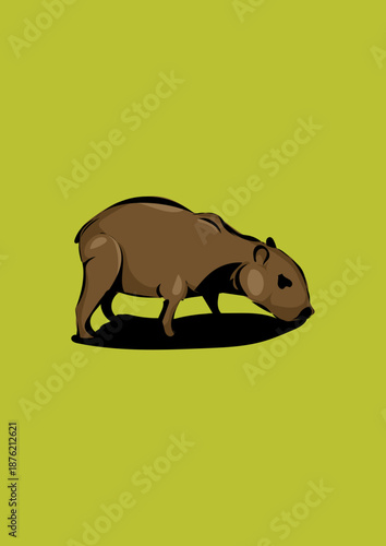 Capybara