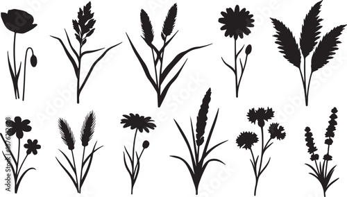 A decorative black and white illustration showcasing various types of grasses and foliage arranged in rows