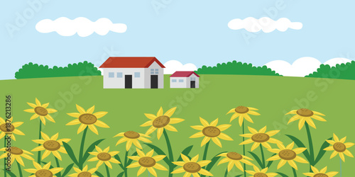 Rural Landscape with Blooming Flowers and Homes. Sunflower bloom in the spring season. Farmhouse.