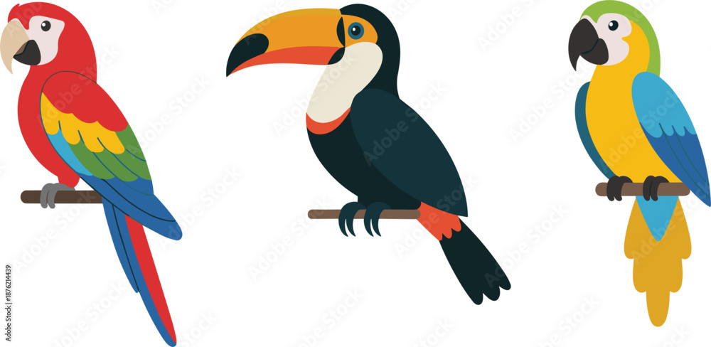 Obraz premium Collection of three vibrant tropical birds featuring a scarlet macaw toucan and yellow parrot icons