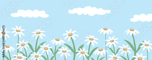 Simple Daisy Meadow Illustration. Chamomile flower landscape. Blooming flowers. Spring time.