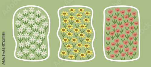 Three Flower Beds with Edelweiss, Sunflowers, and Tulips. Flower bloom illustration. Spring season.