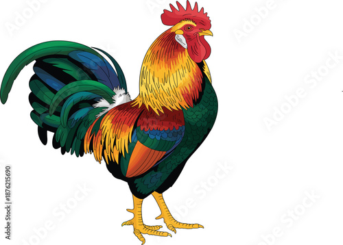 Majestic farmyard cockerel graphic featuring bright orange green and blue plumage for rural design projects