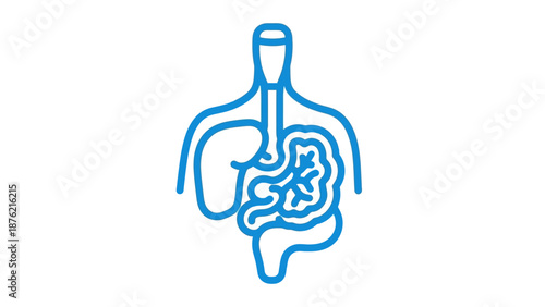 Human Digestive System Outline Icon - Anatomy and Health Concept