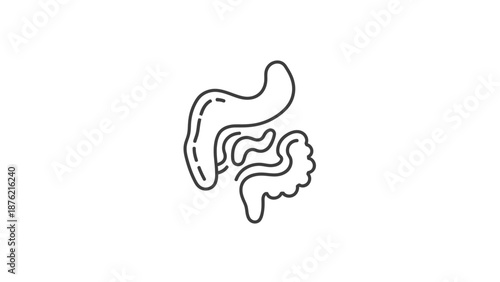 Human Intestine Anatomy Icon, Outline Digestive System Vector
