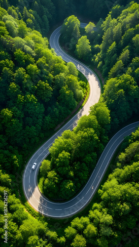 Aerial view of a winding road through a lush forest