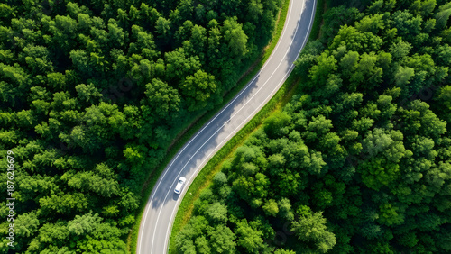 Aerial view of winding road through dense forest