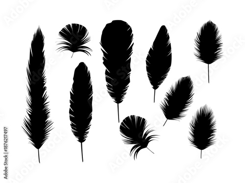 Soft fluffy bird feather design set inspired by swan plumage featuring delicate pen icons for elegant nature themed decorative illustrations