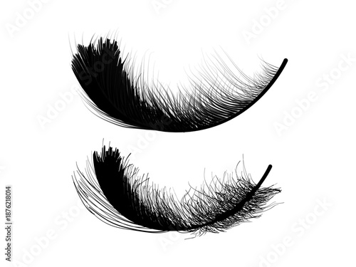 Detailed black feather icon collection featuring majestic feather designs ideal for luxury branding symbolic graphics tattoo art and elegant decorative visual projects
