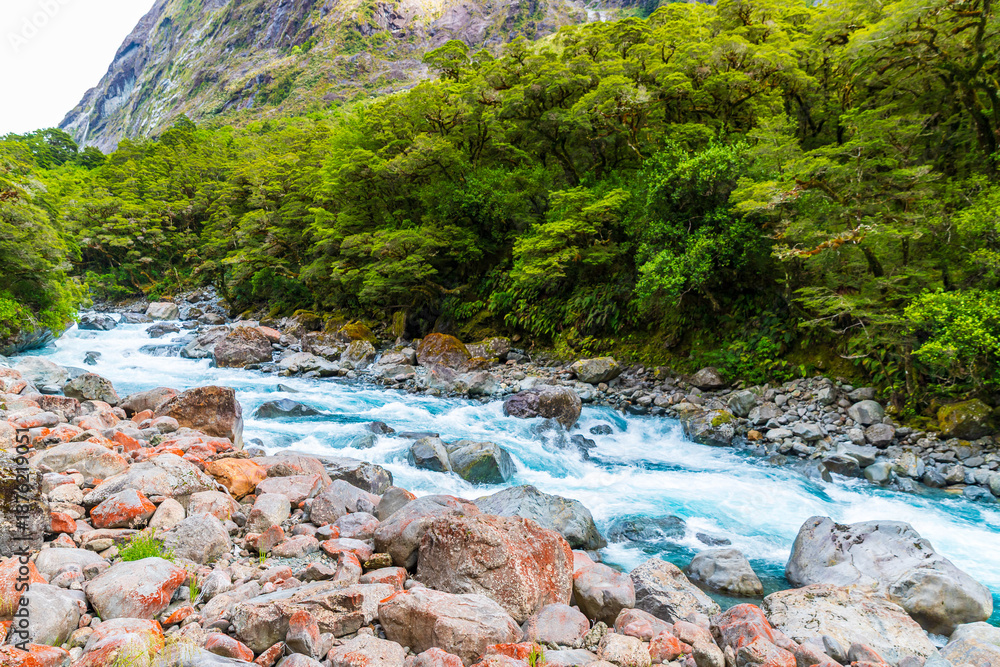 Naklejka premium Tutoko River Flowing Through Fiordland National Park, South Island, New Zealand