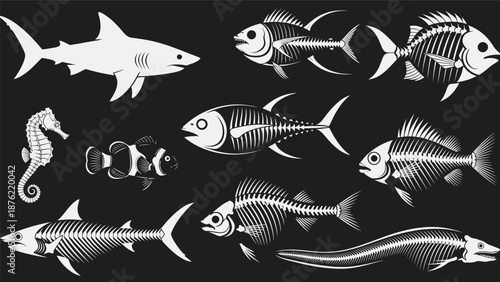 Adobe Illustrator Artwork