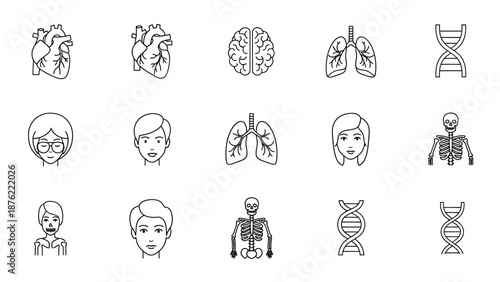 Medical Icons Set: Heart, Brain, Lungs, DNA, Skeleton, Human Faces