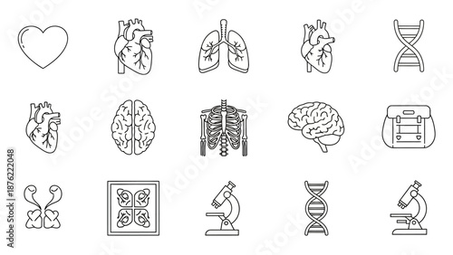 Medical Icons Set: Heart, Lungs, Brain, DNA, Skeleton, Microscope, X-ray