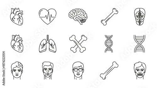 Medical Icons Set: Human Anatomy, Health, Science, and DNA Graphics