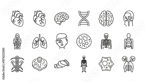 Medical Icons Set: Human Anatomy, Organs, DNA, Skeleton, Brain, Heart, Lungs