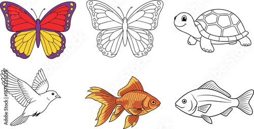 Cartoon animal coloring set, butterfly turtle bird fish, kids activity illustration, educational sketch and color, flat vector illustration