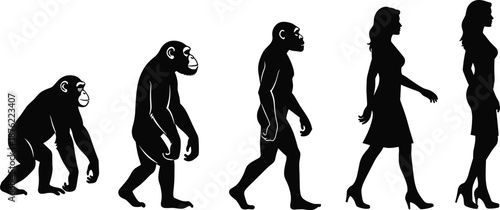 Human evolution silhouettes, ape to modern woman progression, black vector timeline, anthropological development concept, flat illustration set