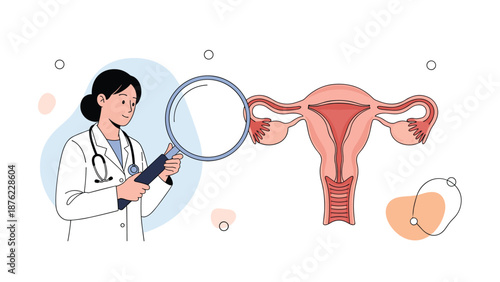 Professional female doctor in a white coat uses a large magnifying glass to examine a human uterus anatomical model.