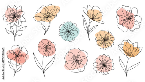 Collection of various delicate flower sketches is created with thin black lines and accented with soft pastel color shapes.