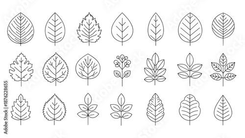 Grid of various tree and plant leaf outline icons is presented in a clean black and white minimalistic line art style.