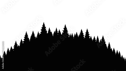Silhouette of a dense evergreen forest against a white background isolated on white background, Vector, illustration