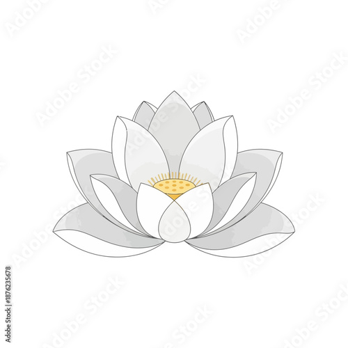 Elegant White Lotus Flower Illustration