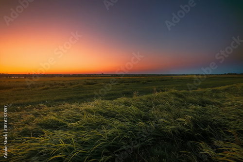 A tranquil twilight landscape featuring a vast grassy field stretching towards the horizon. 