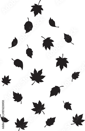Black leaves falling on white background in autumn season