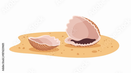 Two open seashells rest on a sandy surface