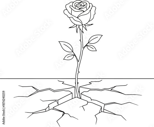 Rose Growing Through Cracked Ground Line Art Illustration
