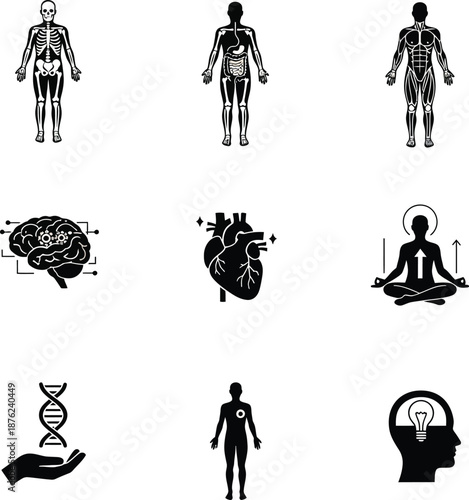 Human Anatomy and Health Icons Set Illustration