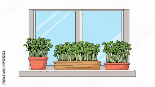 Three potted seedlings grow indoors on a windowsill beneath a bright blue sky