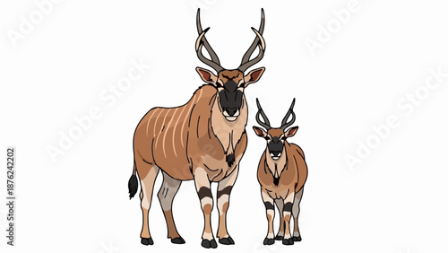 Two brown antelopes, one large and one small, stand side-by-side on a white background