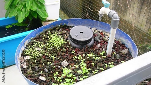 Urban farming practice where vegetables and herbs are grown in city environments, promoting sustainable food production and green living
