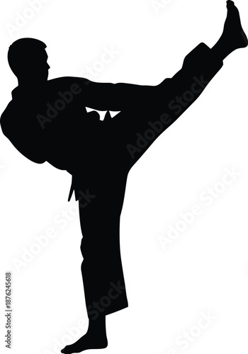 Silhouette of Determined Martial Arts Fighter Performing High Kick, showcasing Karate and Taekwondo Techniques for Sports, Self Defense, Discipline, and Action Themed Design Projects.