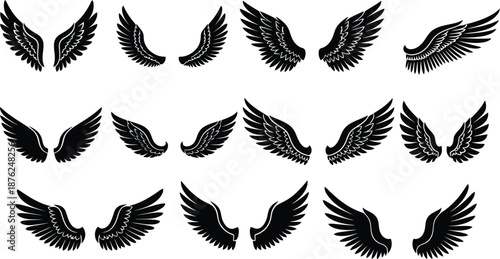 Set of twelve black stylized wings, symmetrical feather patterns, artistic illustration, fantasy design, tattoo art, angel wings, decorative vector, mythical bird, silhouette