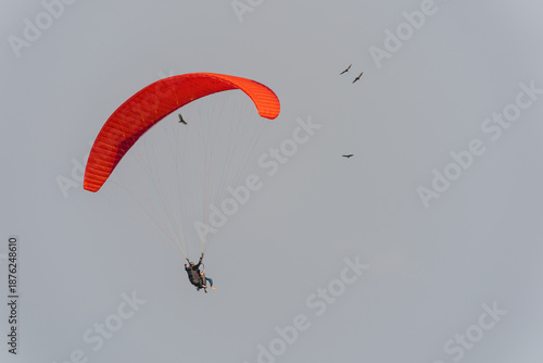 Human Flying with Birds, Freedom and Inspiration Concept