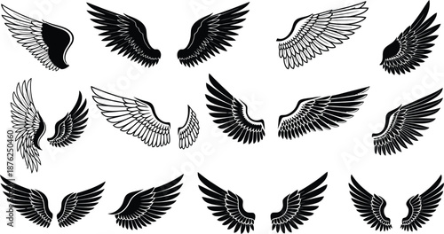 Set of twelve black stylized wings, symmetrical feather patterns, artistic illustration, fantasy design, tattoo art, angel wings, decorative vector, mythical bird, silhouette