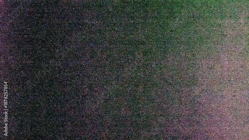 vintage noise overlay