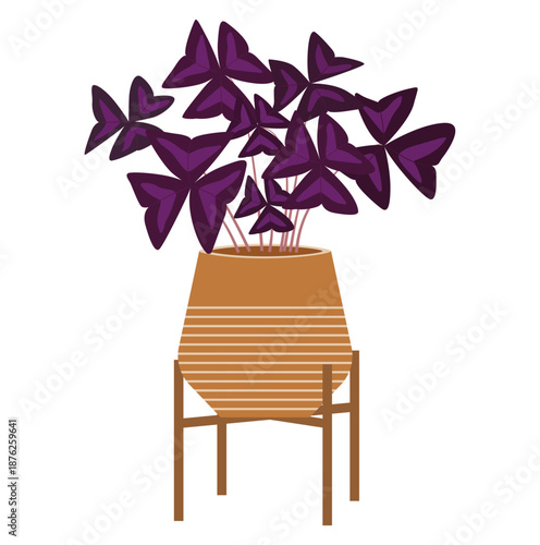 Oxalis triangularis houseplant in a striped clay pot on a wooden stand