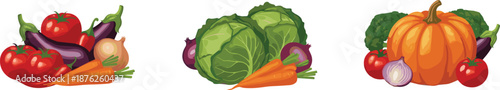Fresh vegetables harvest illustration set, pumpkin cabbage tomatoes carrots and onions isolated on white background vector healthy food design