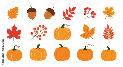 Autumn harvest collection featuring colorful maple leaves, acorns, rowan berries, and various pumpkins for seasonal fall themed design projects.