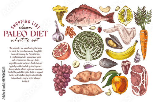 Paleo Diet healthy fresh food vector
