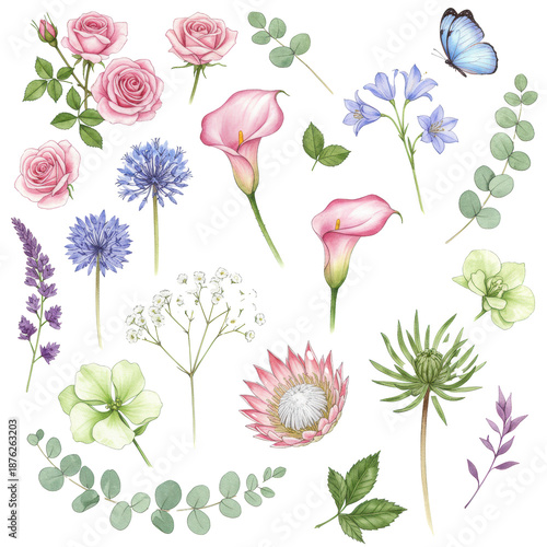A diverse watercolor collection of pink roses, calla lily, protea, allium, bell flowers, orchids, eucalyptus, and a butterfly, against a transparent background with copy space. Concept for elegant