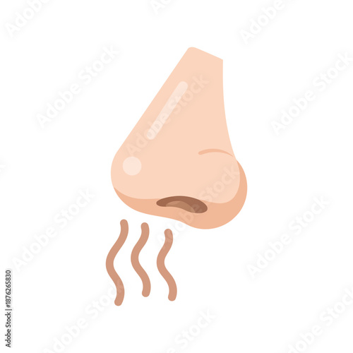 Bild auf Leinwand Human Nose Smell Vector Clipart Isolated Flat Cartoon Illustration on White