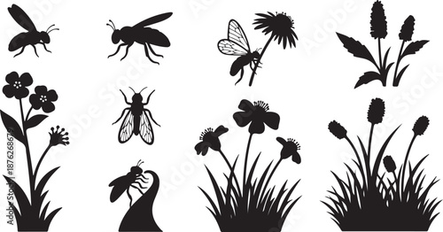 Black silhouettes of insects and flowers on white background