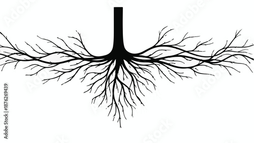 Intricate tree root system spreading outwards in a stylized illustration