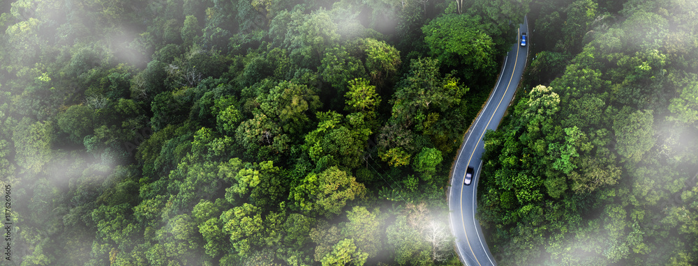 Naklejka premium Green forest landscape with road, representing low carbon transportation and sustainable infrastructure concepts.