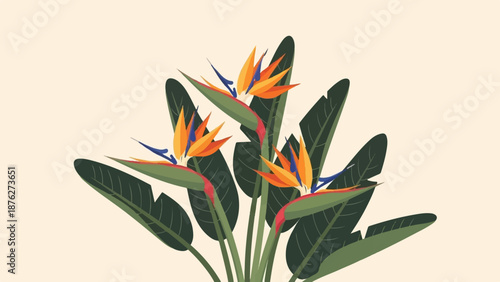Vibrant Bird of Paradise flowers with lush green leaves against a soft beige background